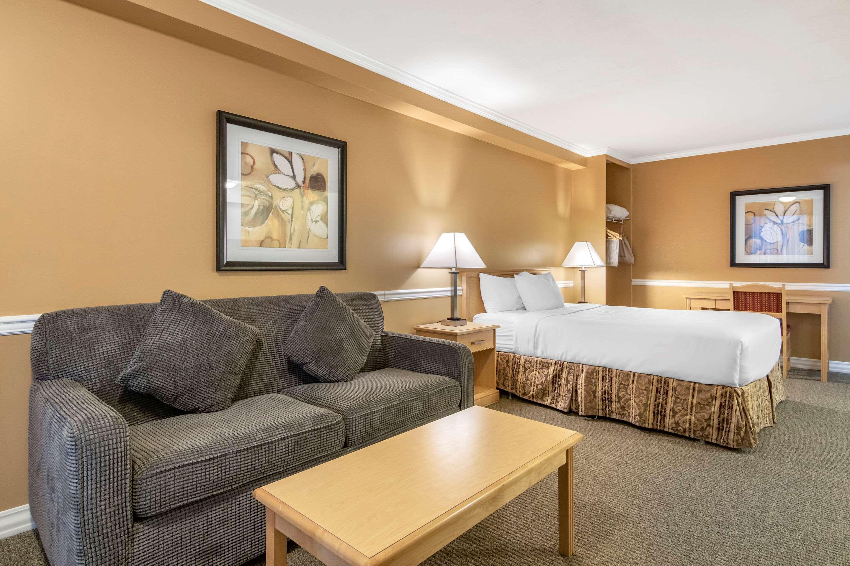 Lodge Econo &